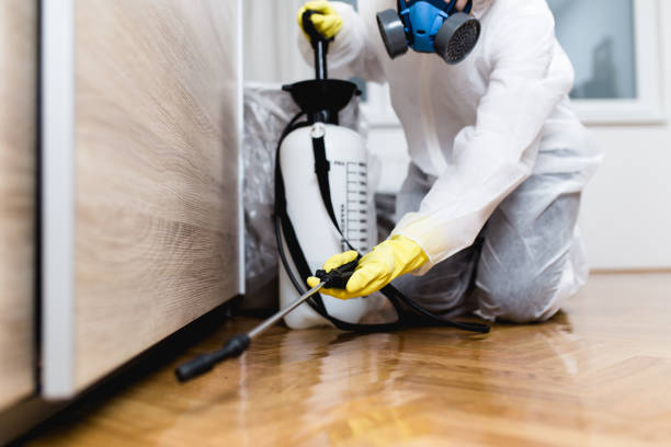Best Best Pest Control Companies  in Spring Valley, NY