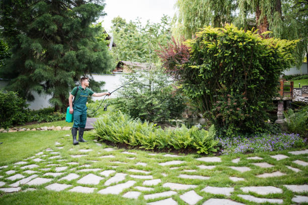 Best Wasp Removal Services  in Spring Valley, NY