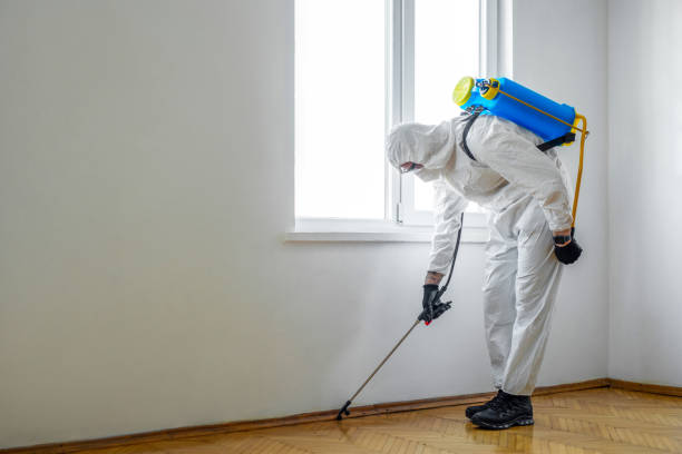 Best Pest Inspection Near Me  in Spring Valley, NY