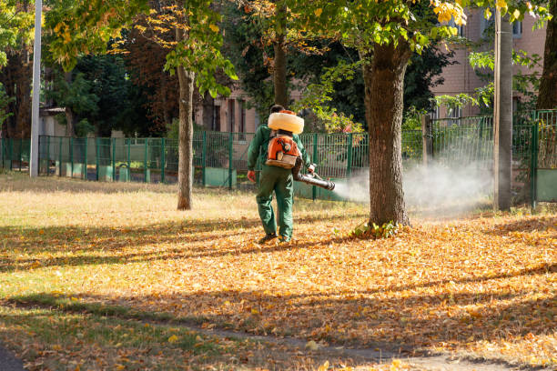 Best Bed Bug Extermination  in Spring Valley, NY