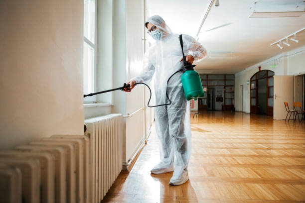 Best Affordable Pest Control Services  in Spring Valley, NY